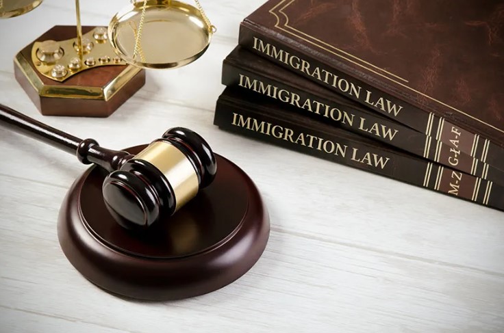 Immigration Lawyer Atlanta: Expert Guidance for Your Visa and Citizenship Needs